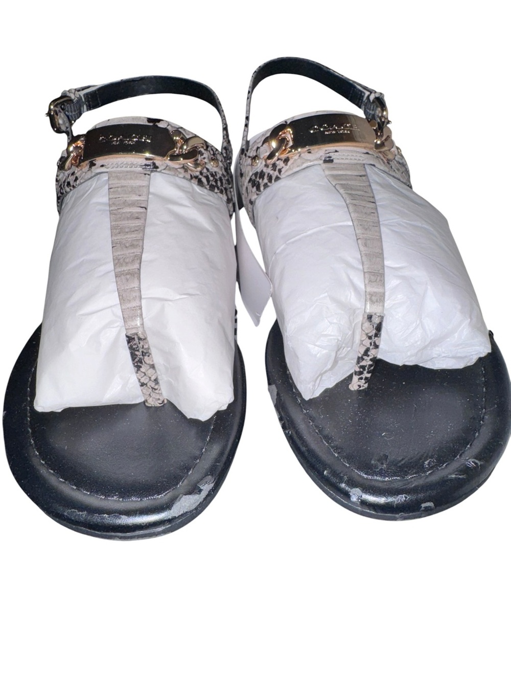 Coach Caterine Snake and Chalk Sandals  MRSP $165